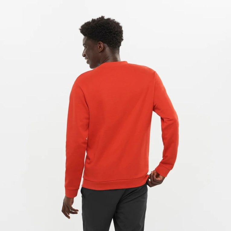 Salomon Outlife Logo Summer Men's Sweatshirt Orange | CA 17X48
